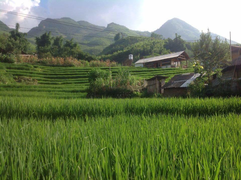 Luckydaisy Buffalo House Sapa Exterior foto